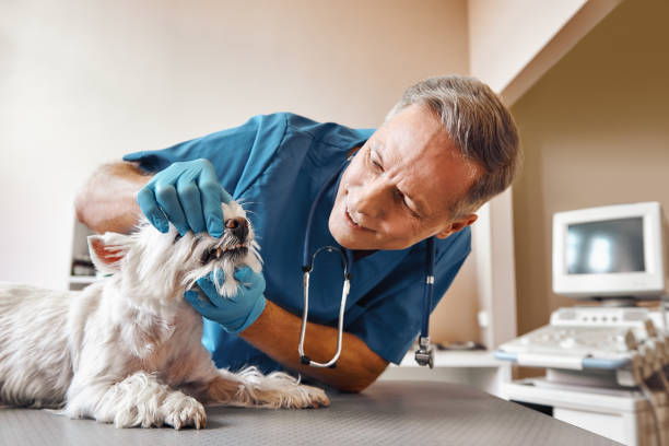 Best Emergency Tooth Extraction in Taylorsville, MS